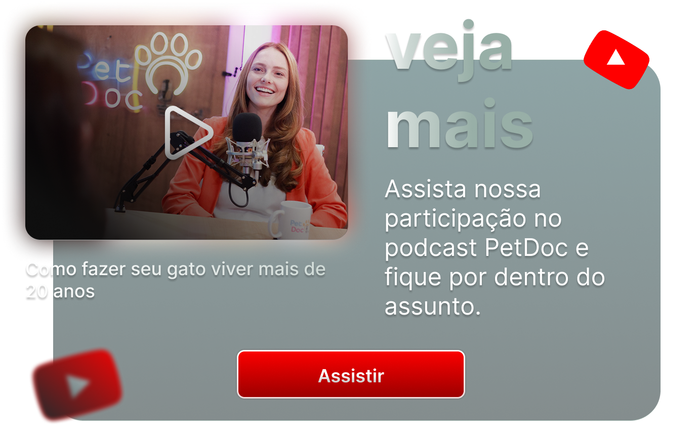 Vídeo Dra. Gatos