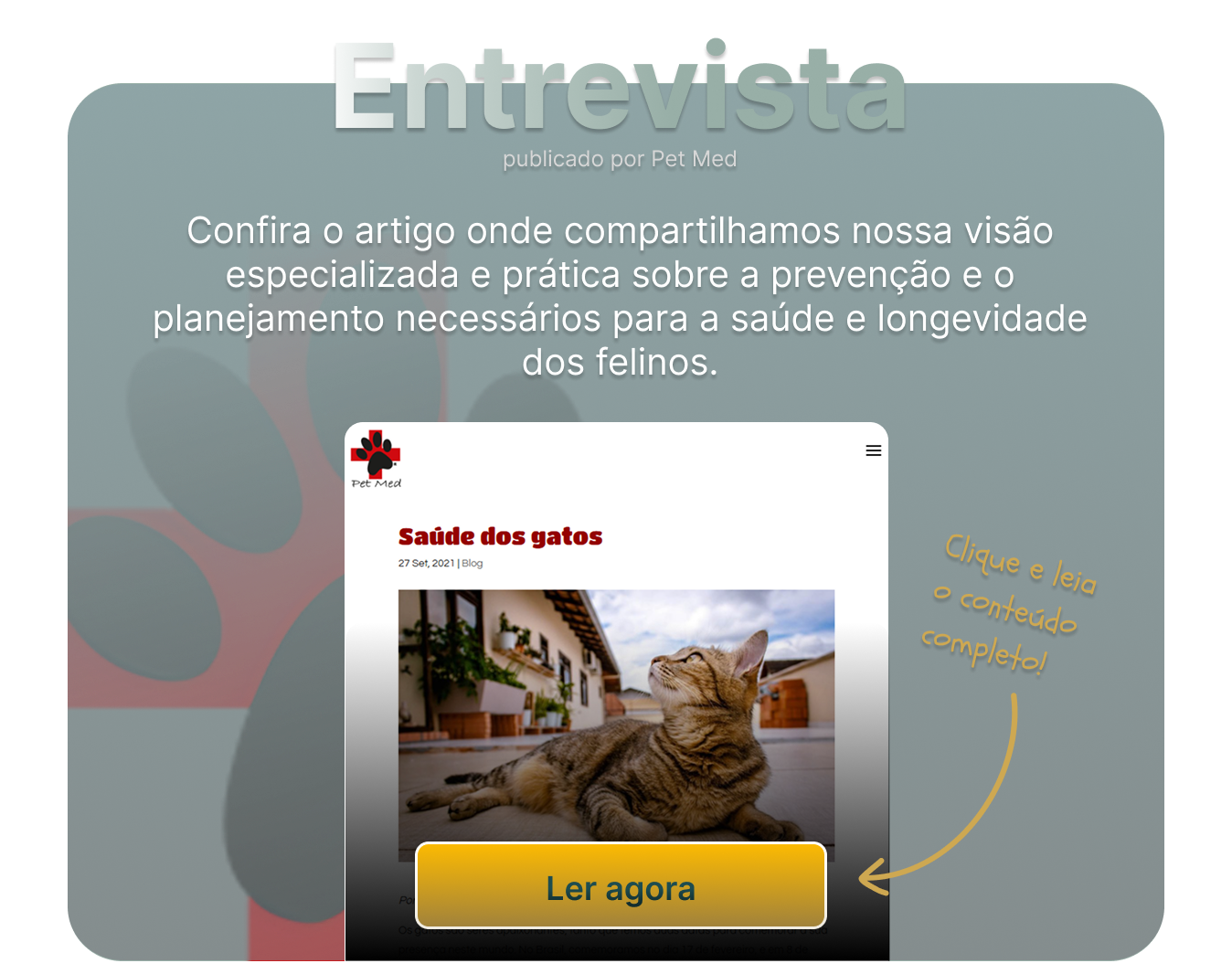 Artigo Petmed - Saúde dos gatos