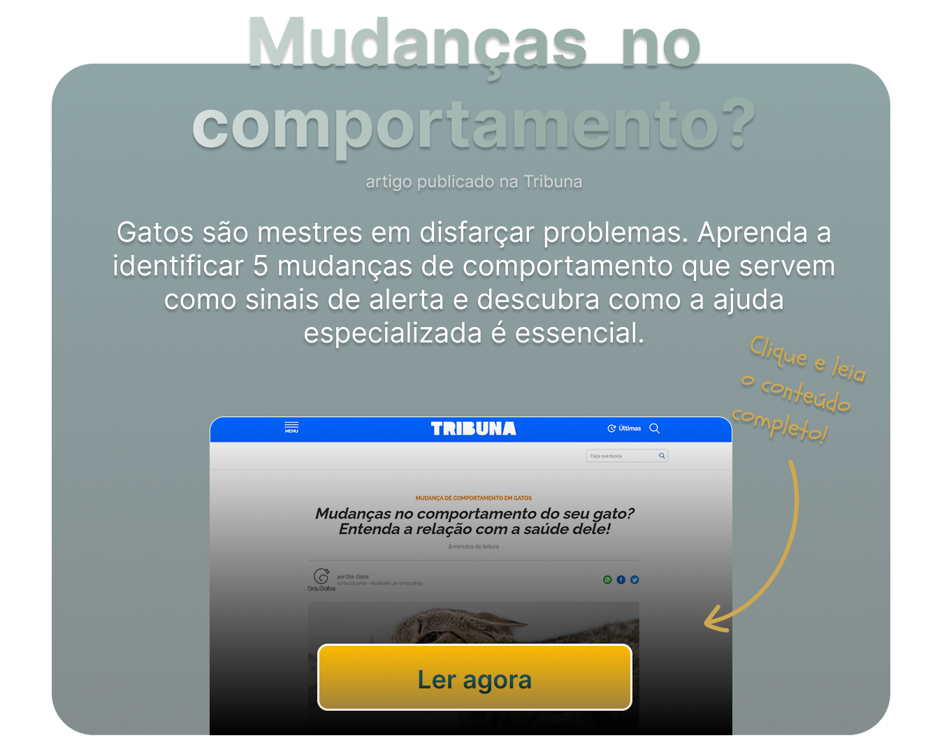 Artigo TribunaPR 3