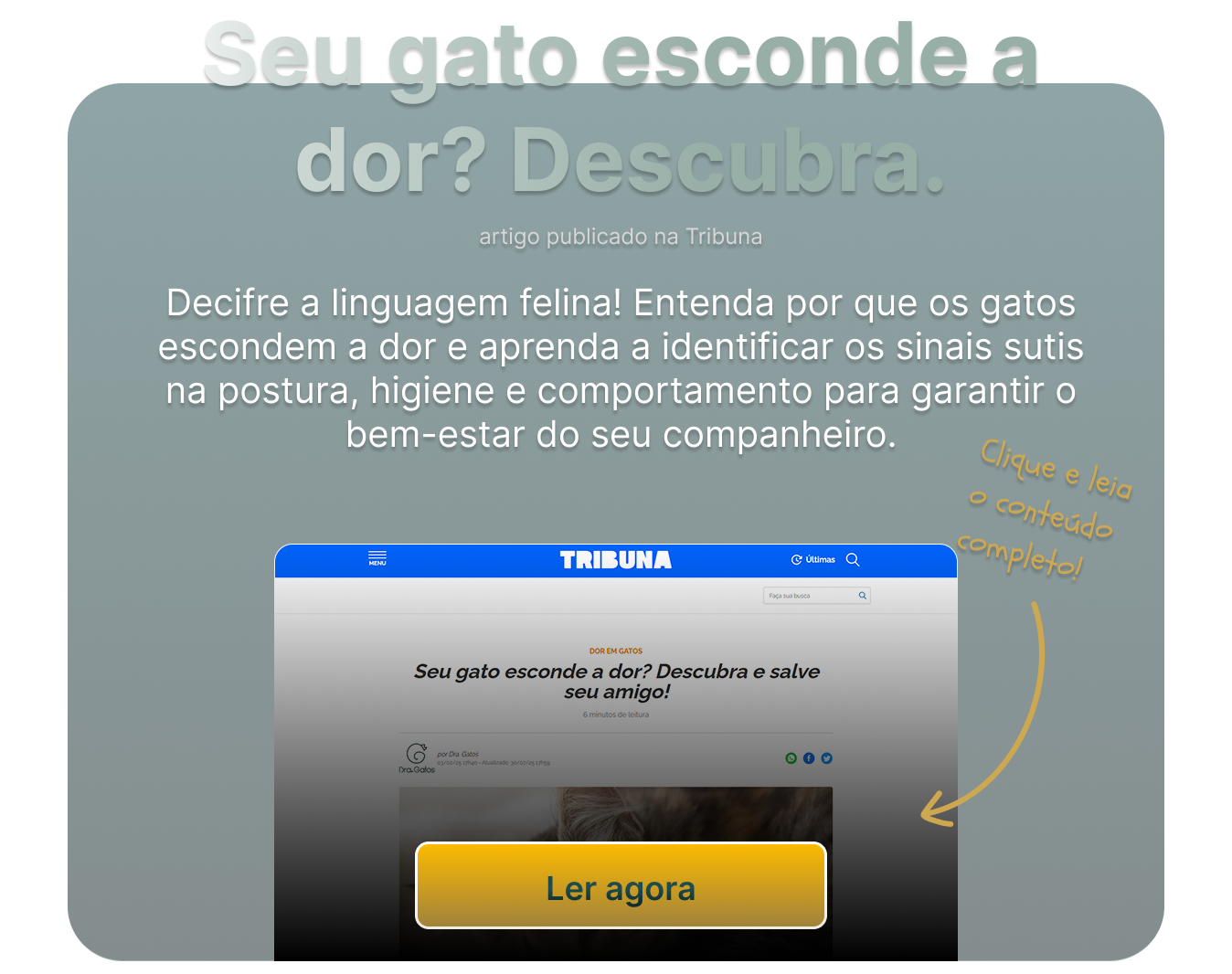 Artigo TribunaPR 5