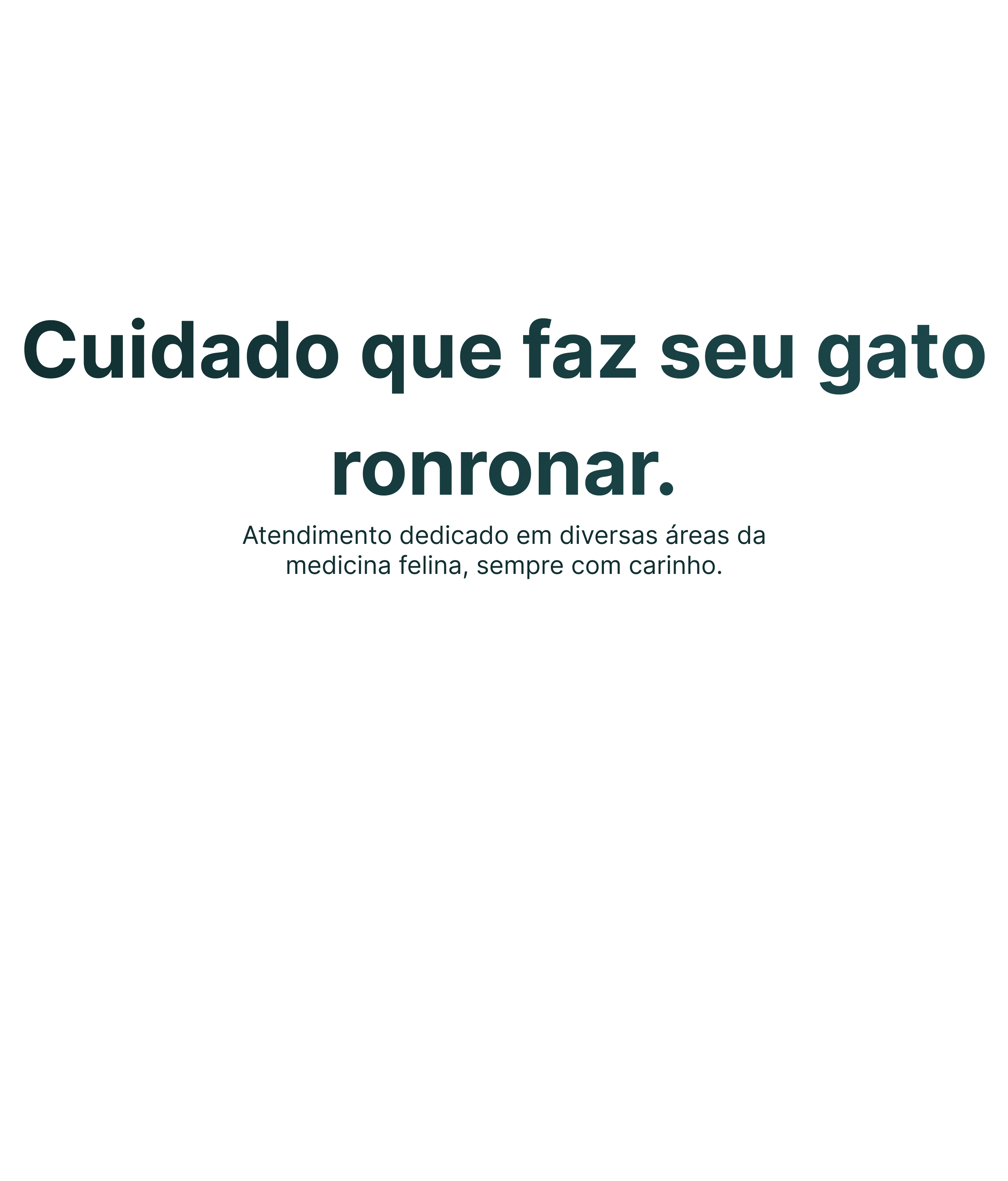 Serviços